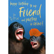 Picture of TO MY FRIEND AND PARTNER IN CRIME BIRTHDAY CARD